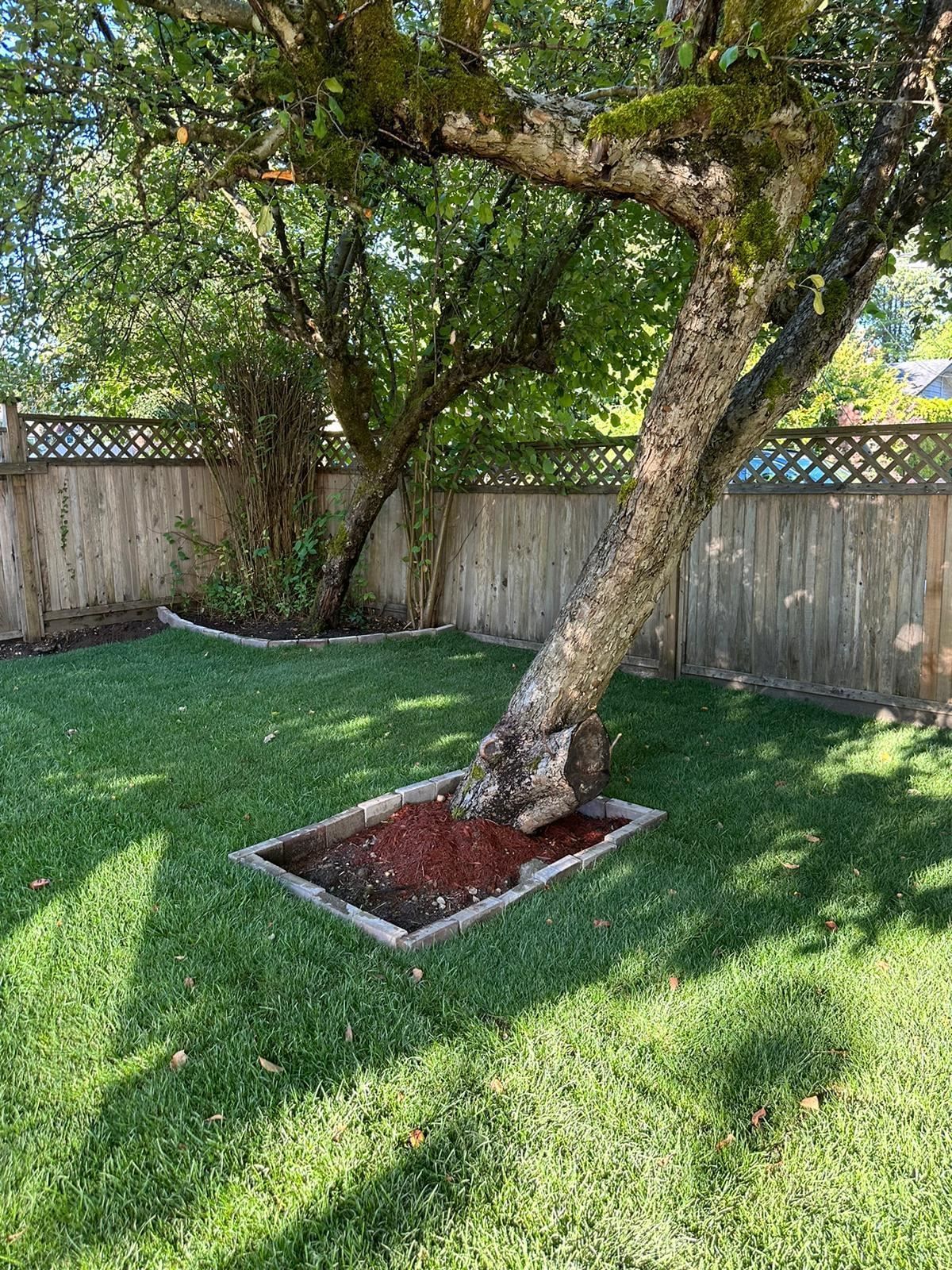 Listing Image 39