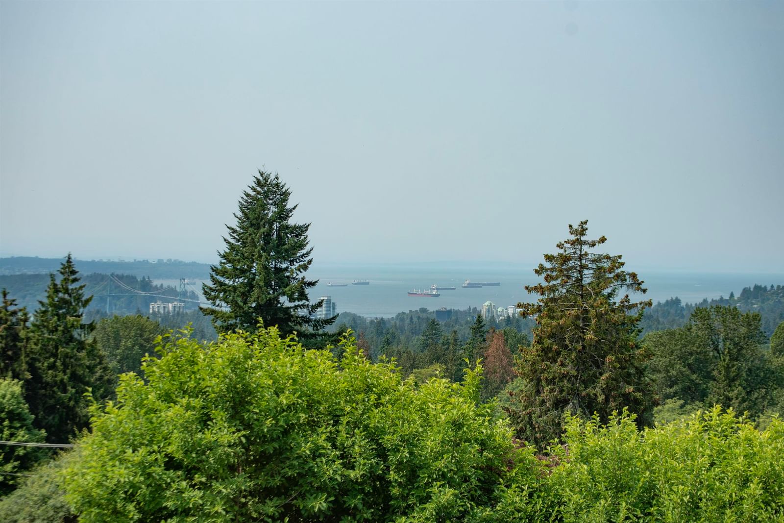 Listing Image 28