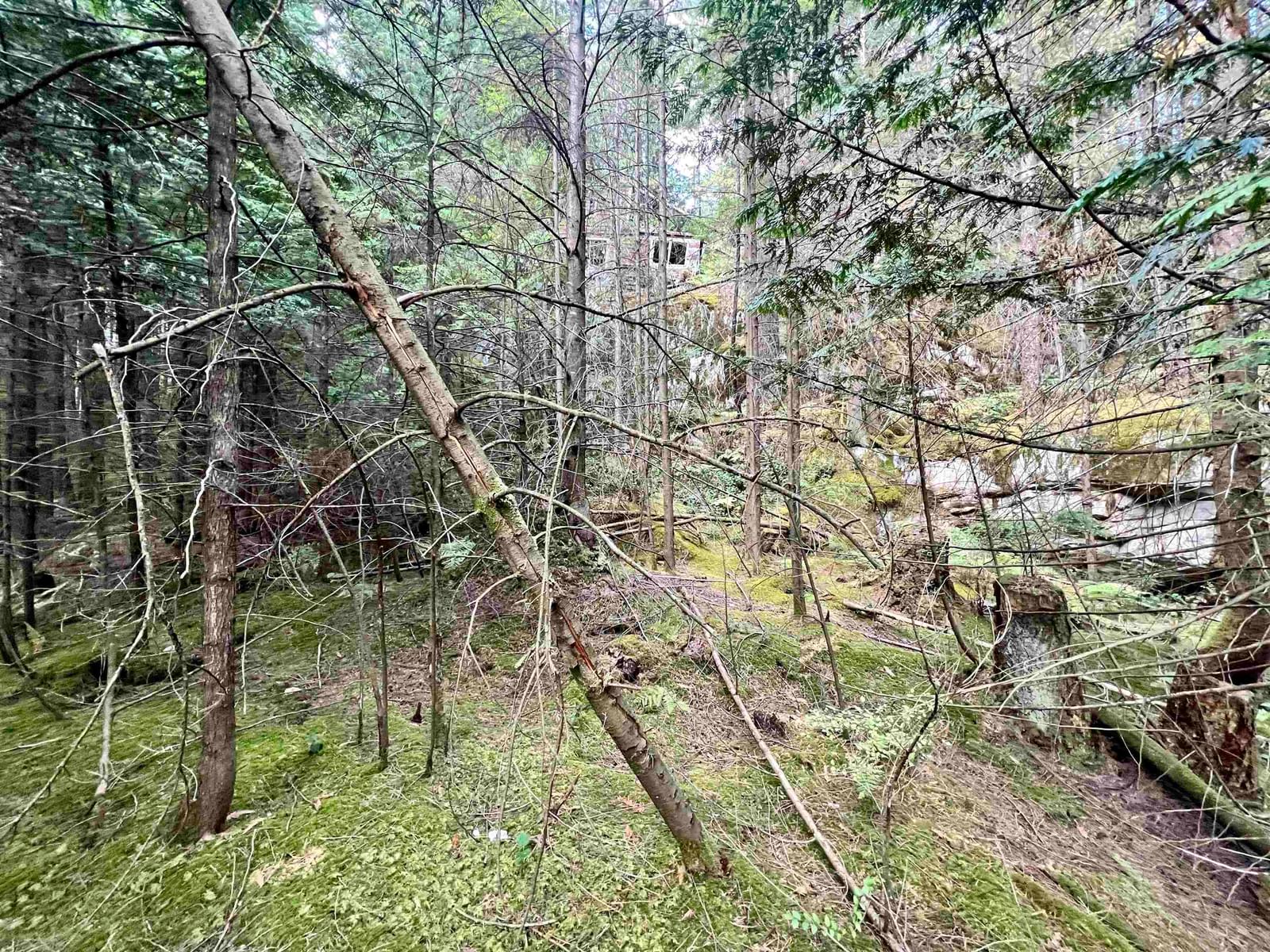 Listing Image 24