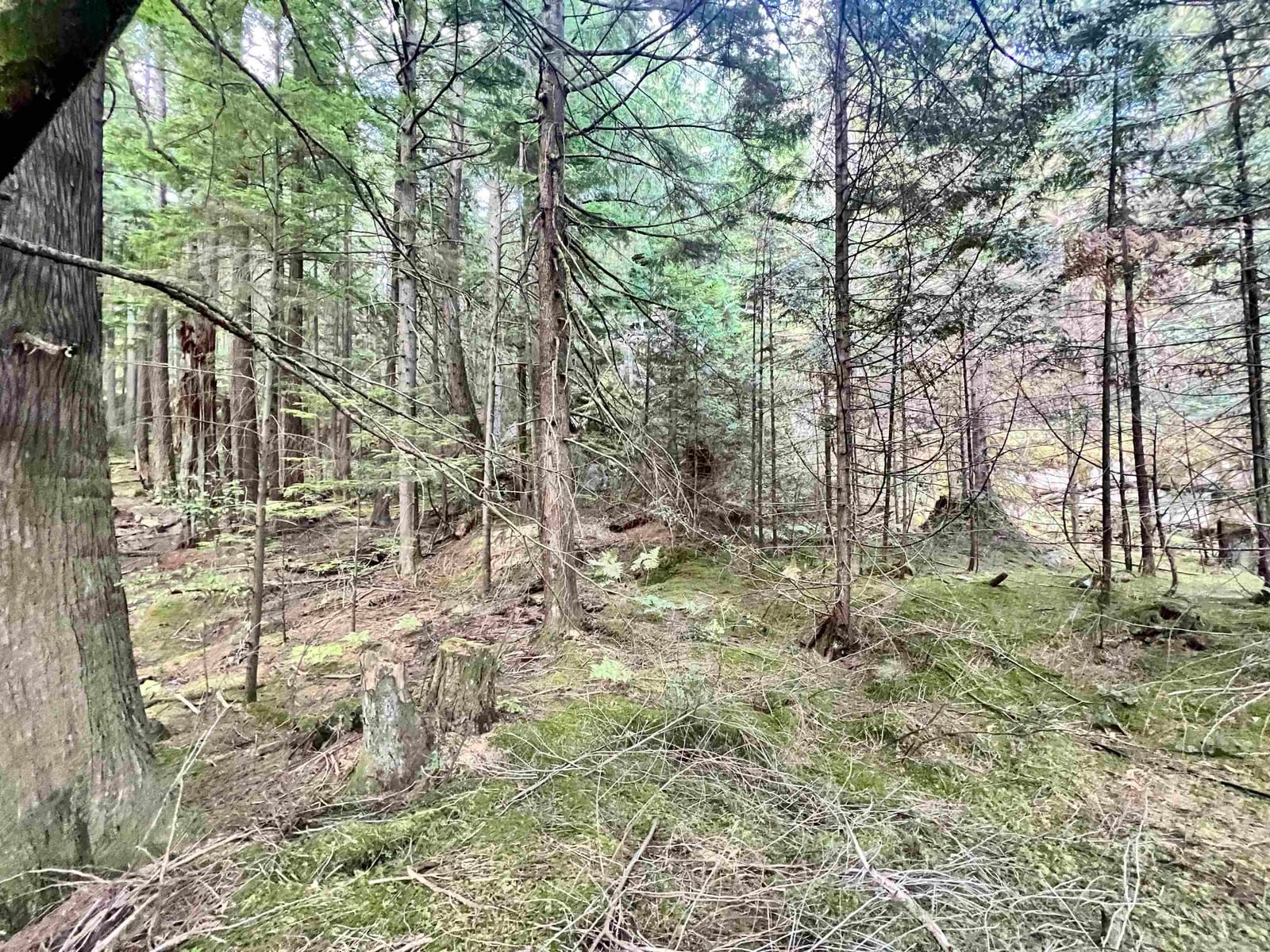 Listing Image 31