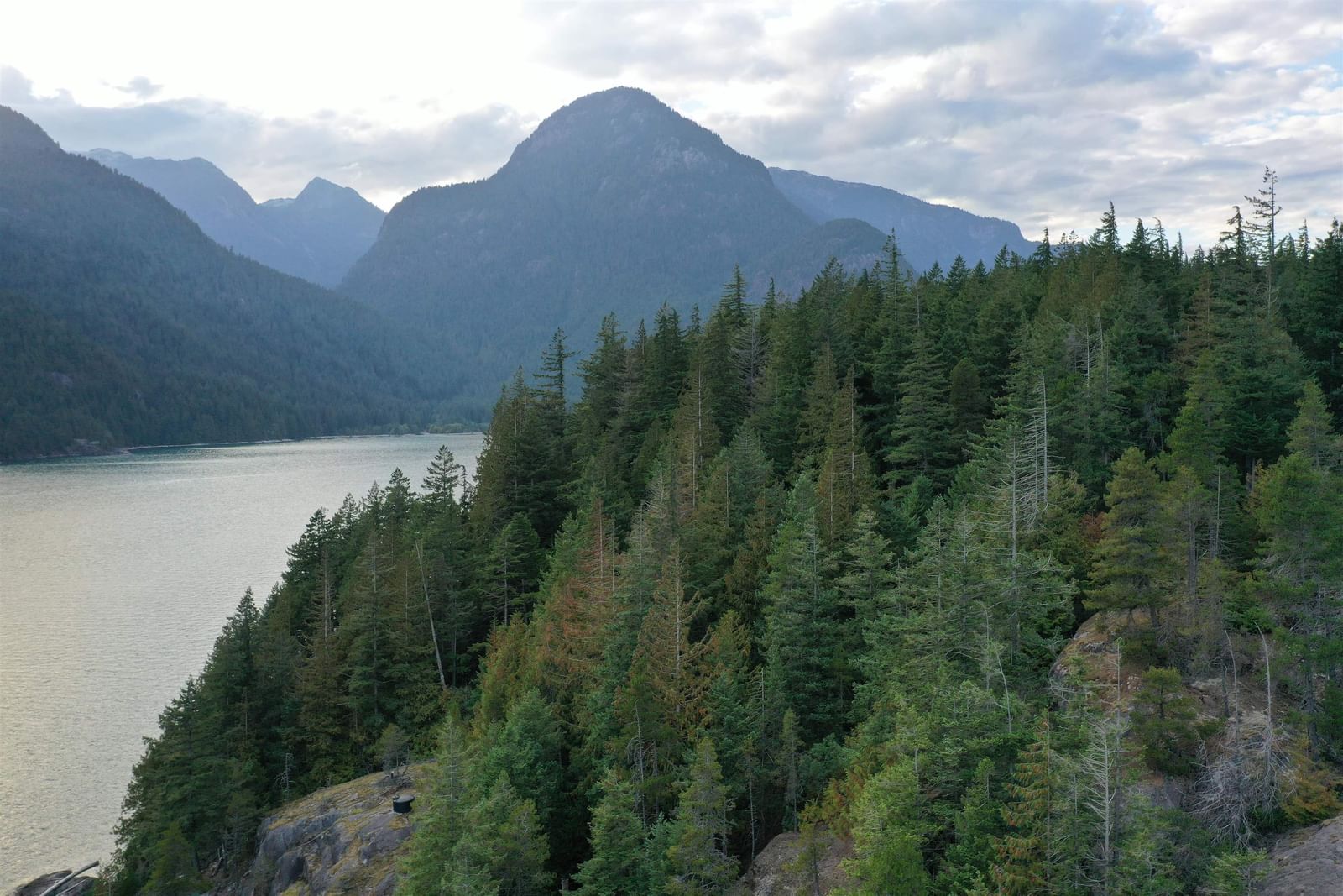 Listing Image 9
