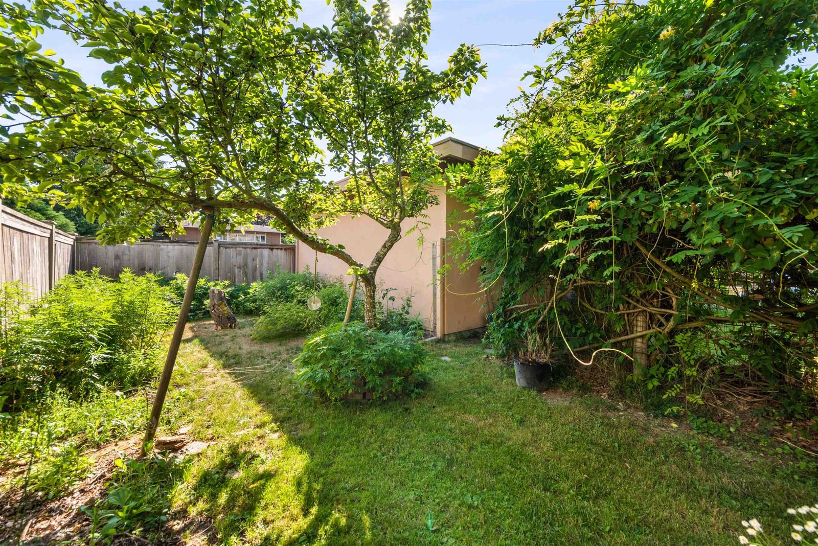 Listing Image 38