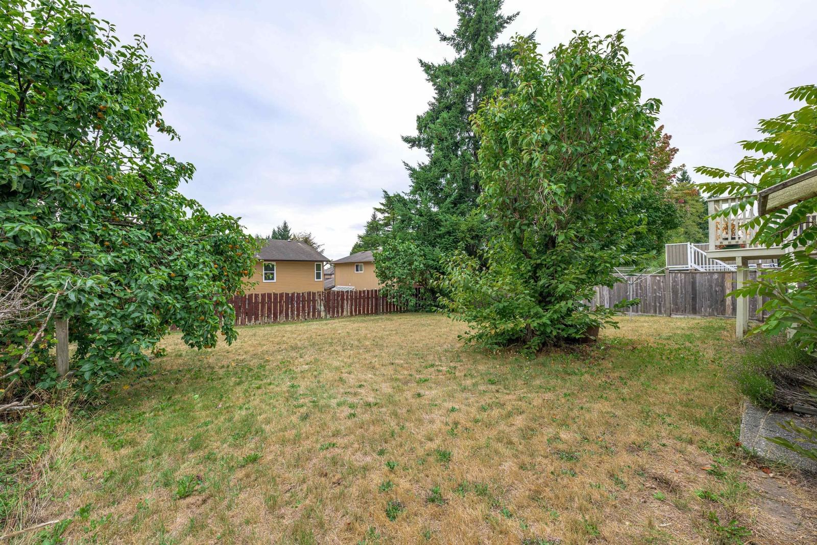 Listing Image 29