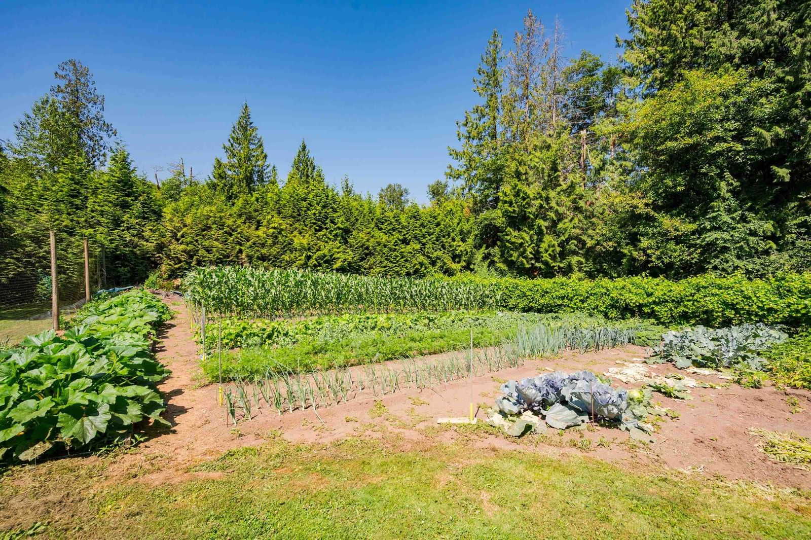 Listing Image 34