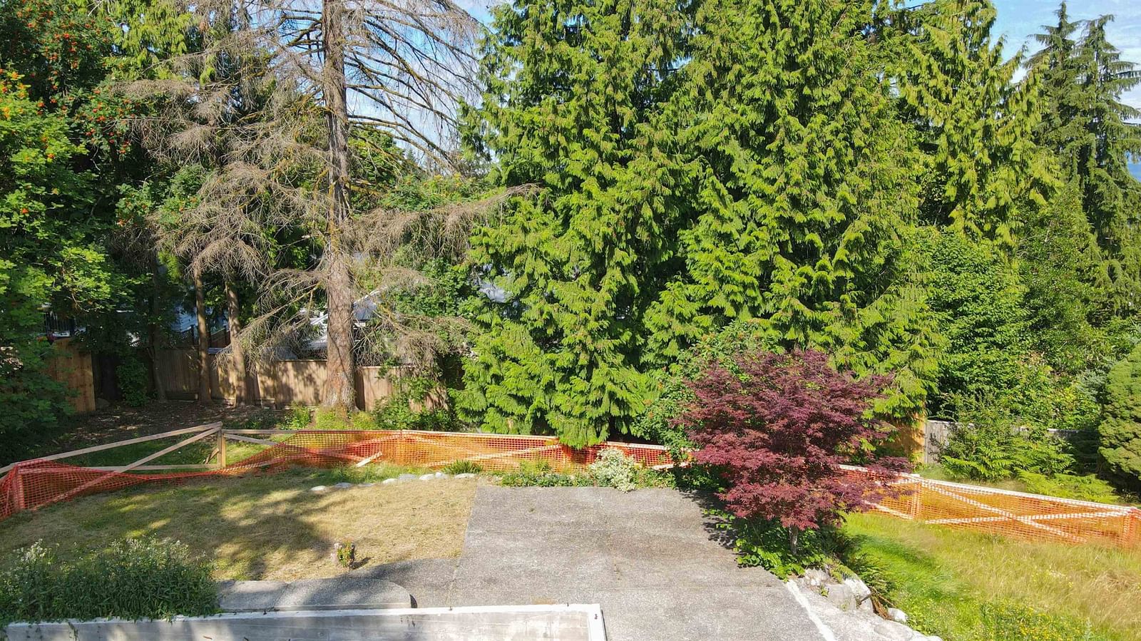 Listing Image 6