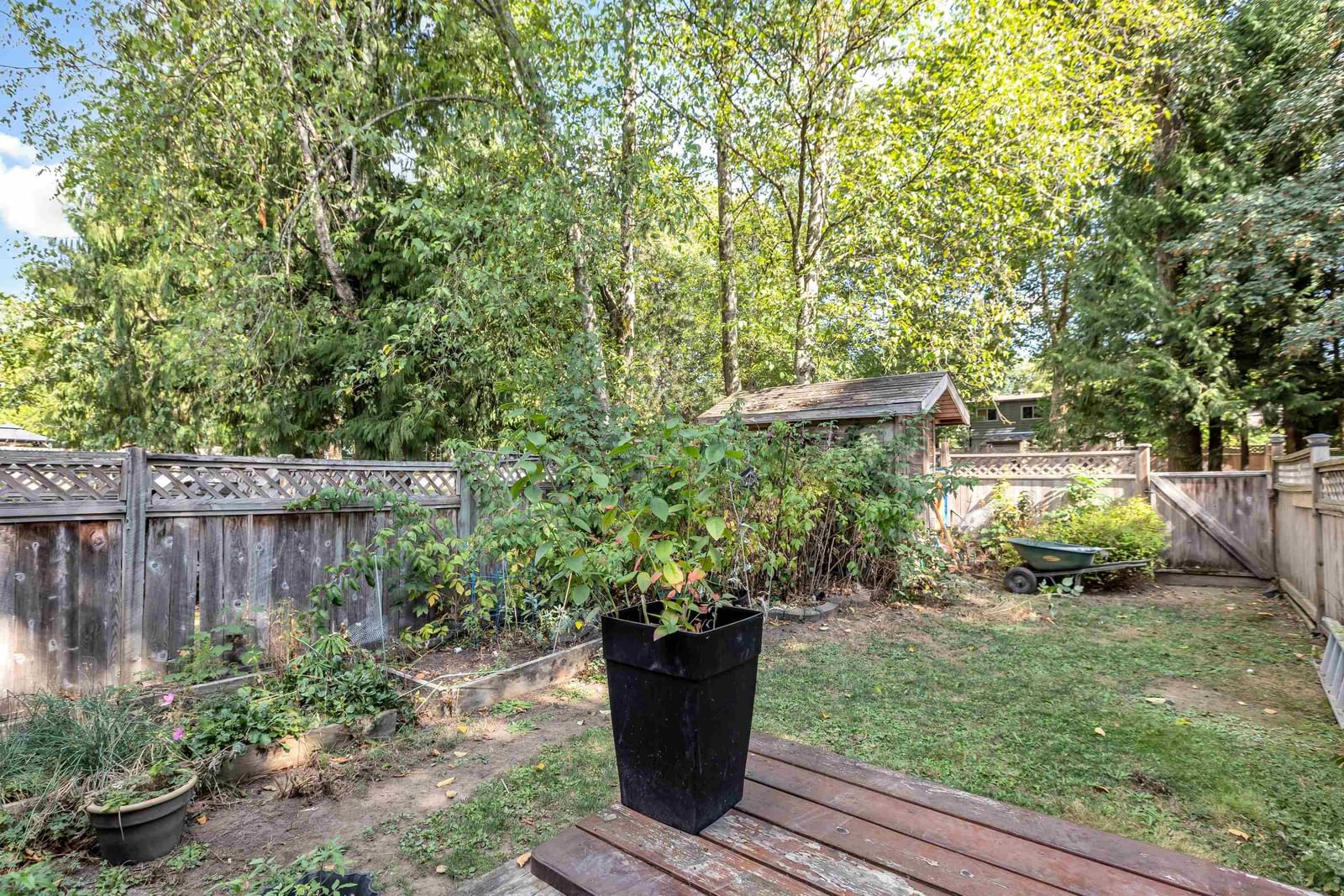 Listing Image 32