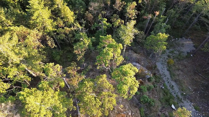 11793 Sunshine Coast Highway, Halfmoon Bay, V7Z 1C1 | Image 3