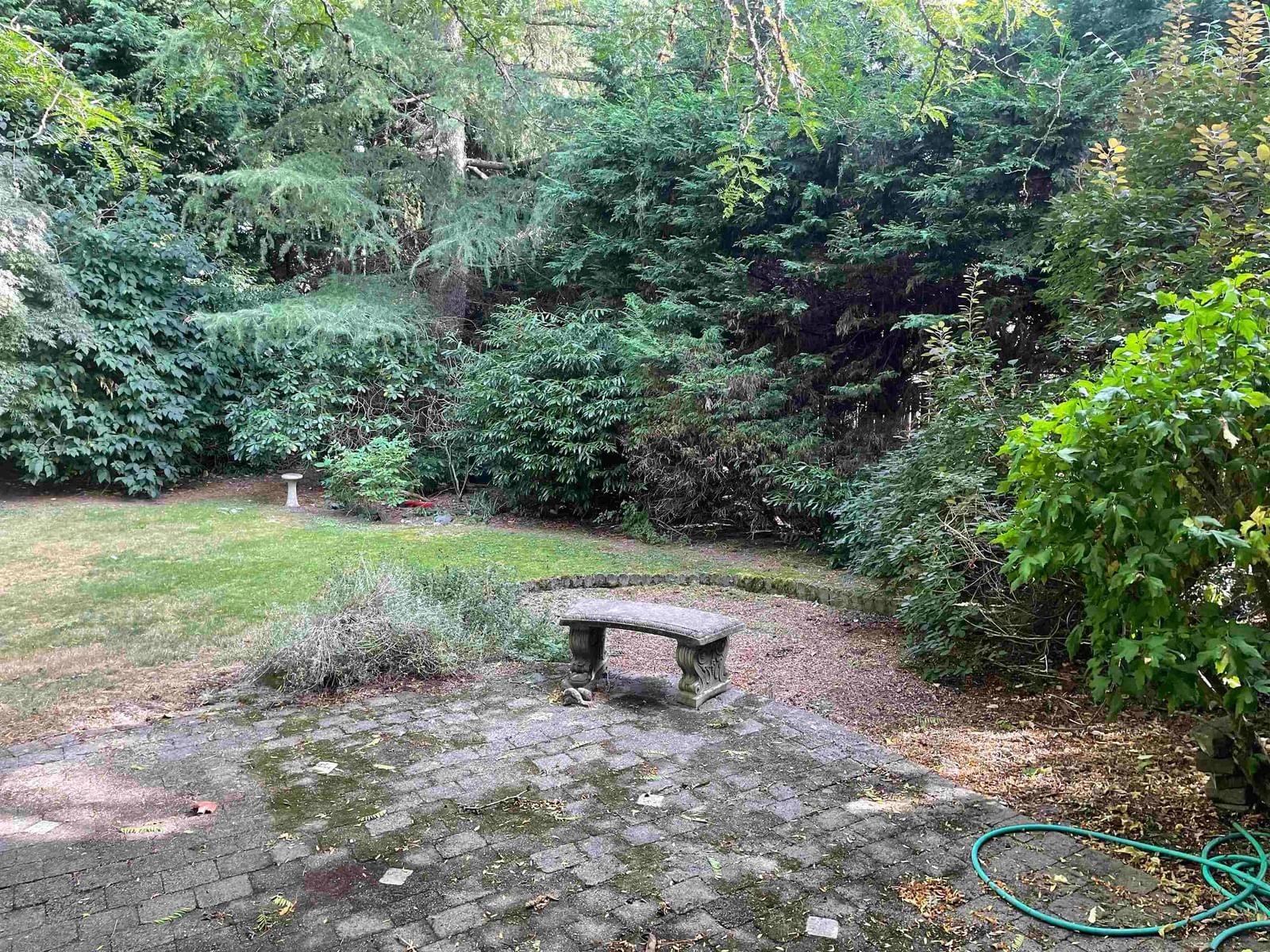 Listing Image 25