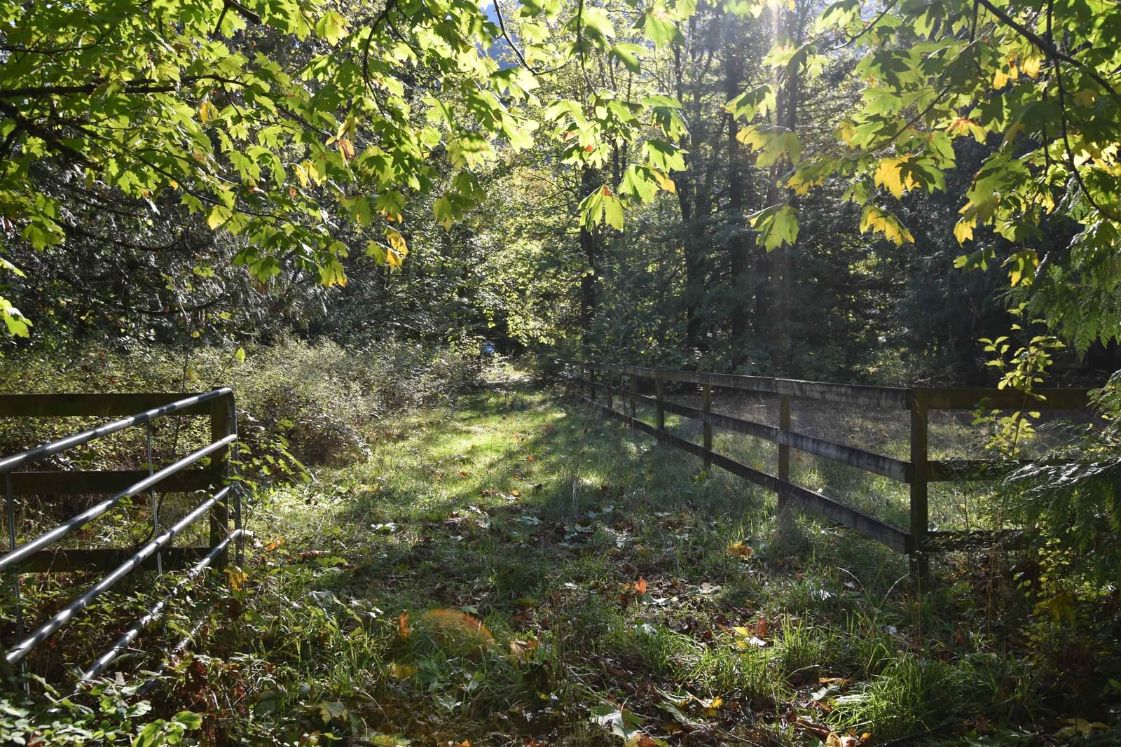 Listing Image 38