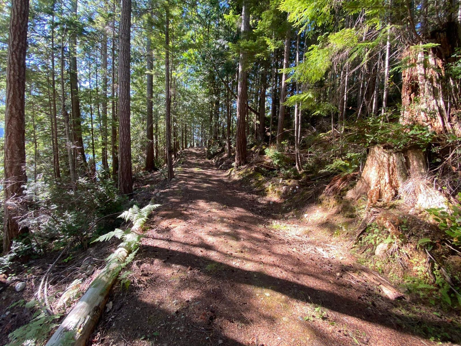 Listing Image 16