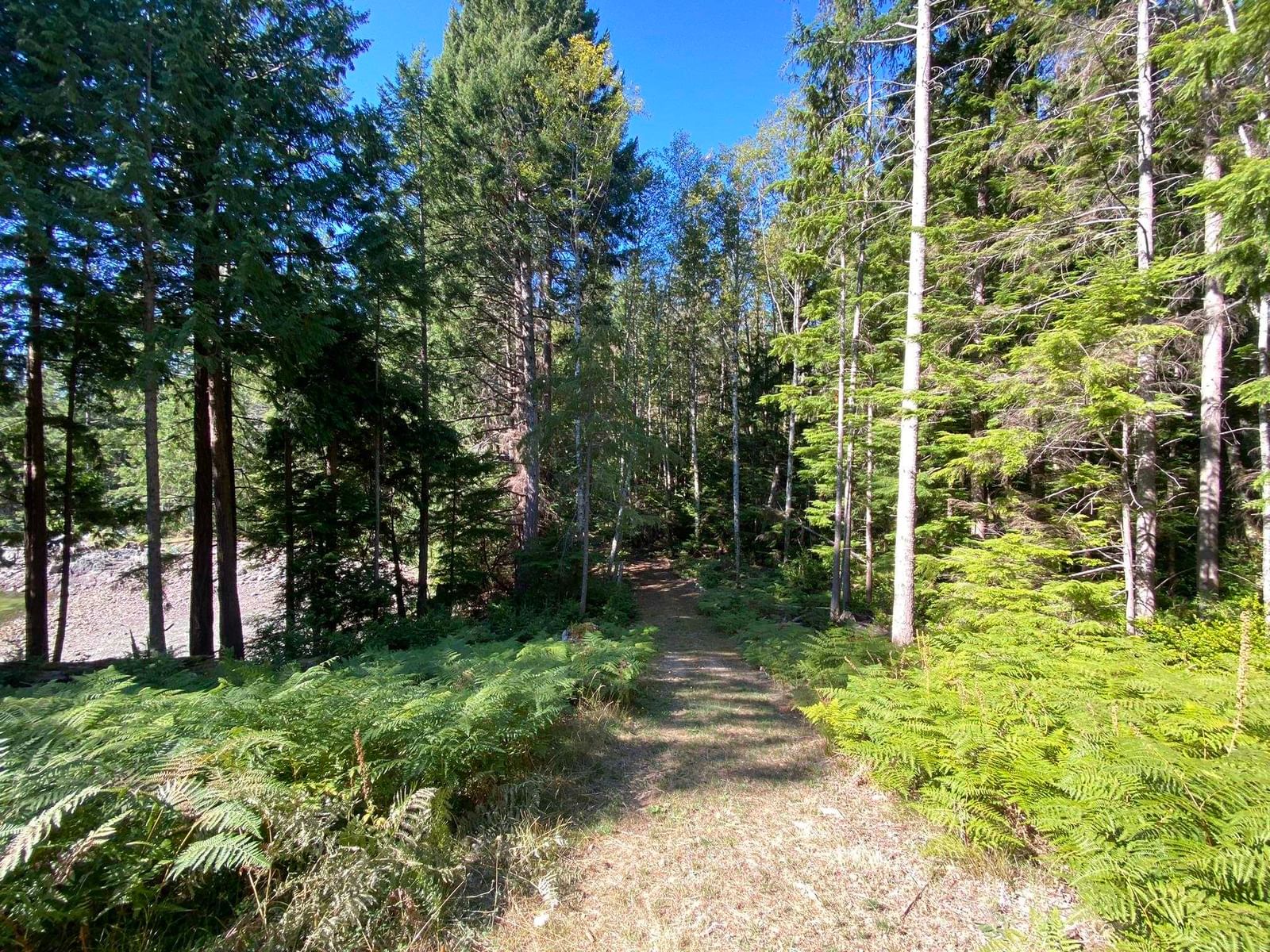 Listing Image 34