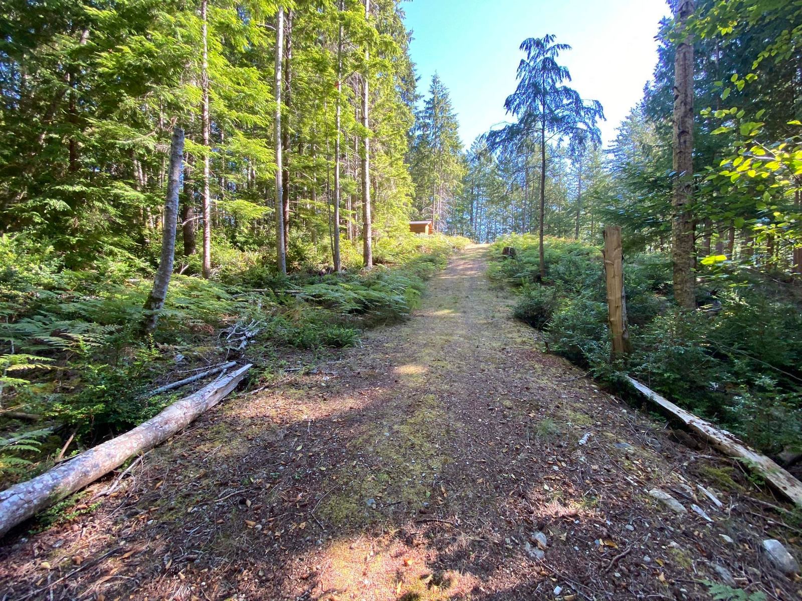 Listing Image 35