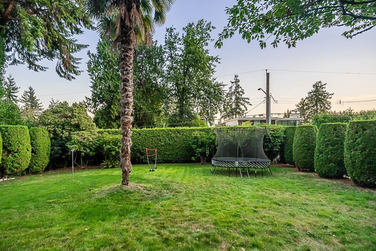 Listing Image 16