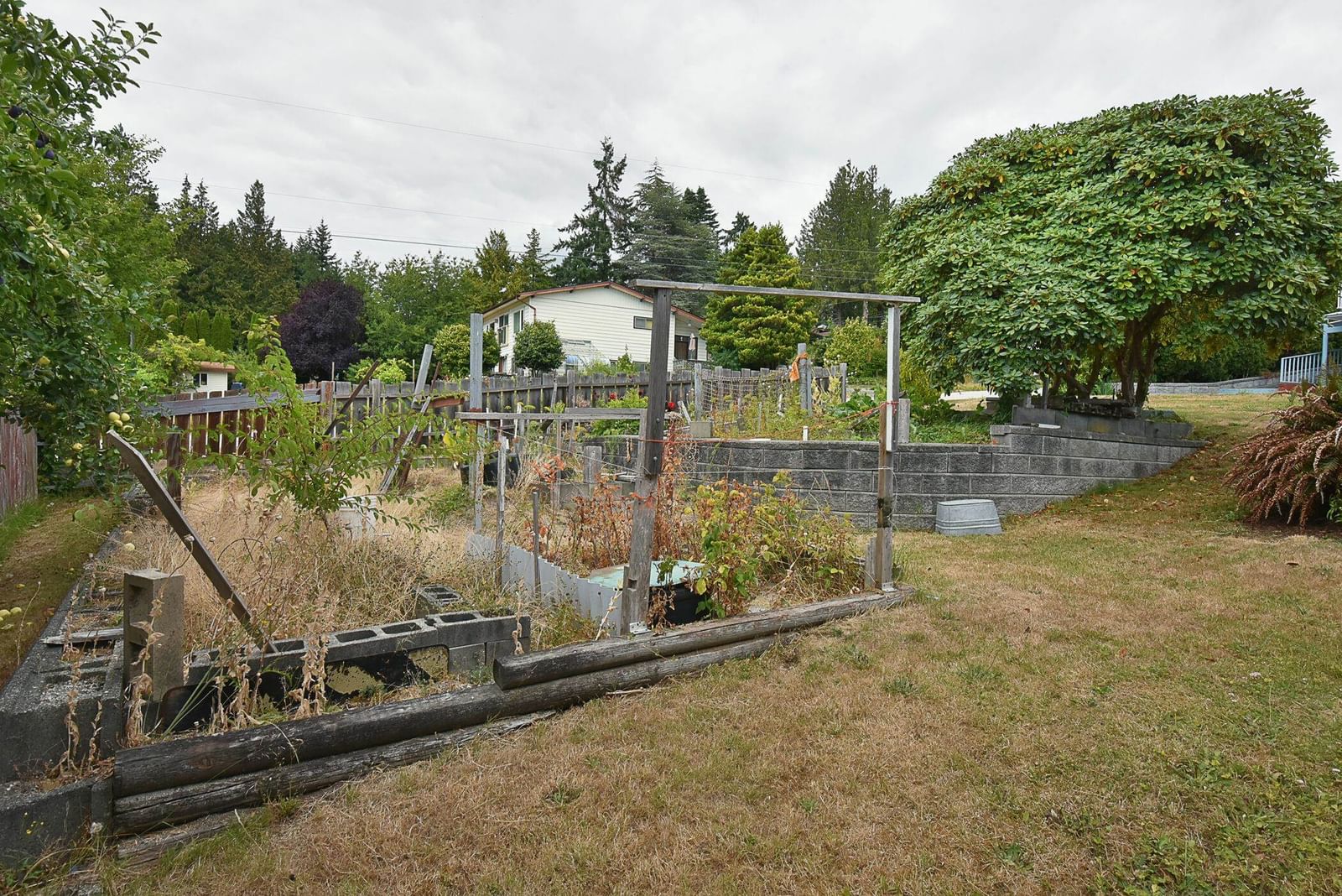 Listing Image 29