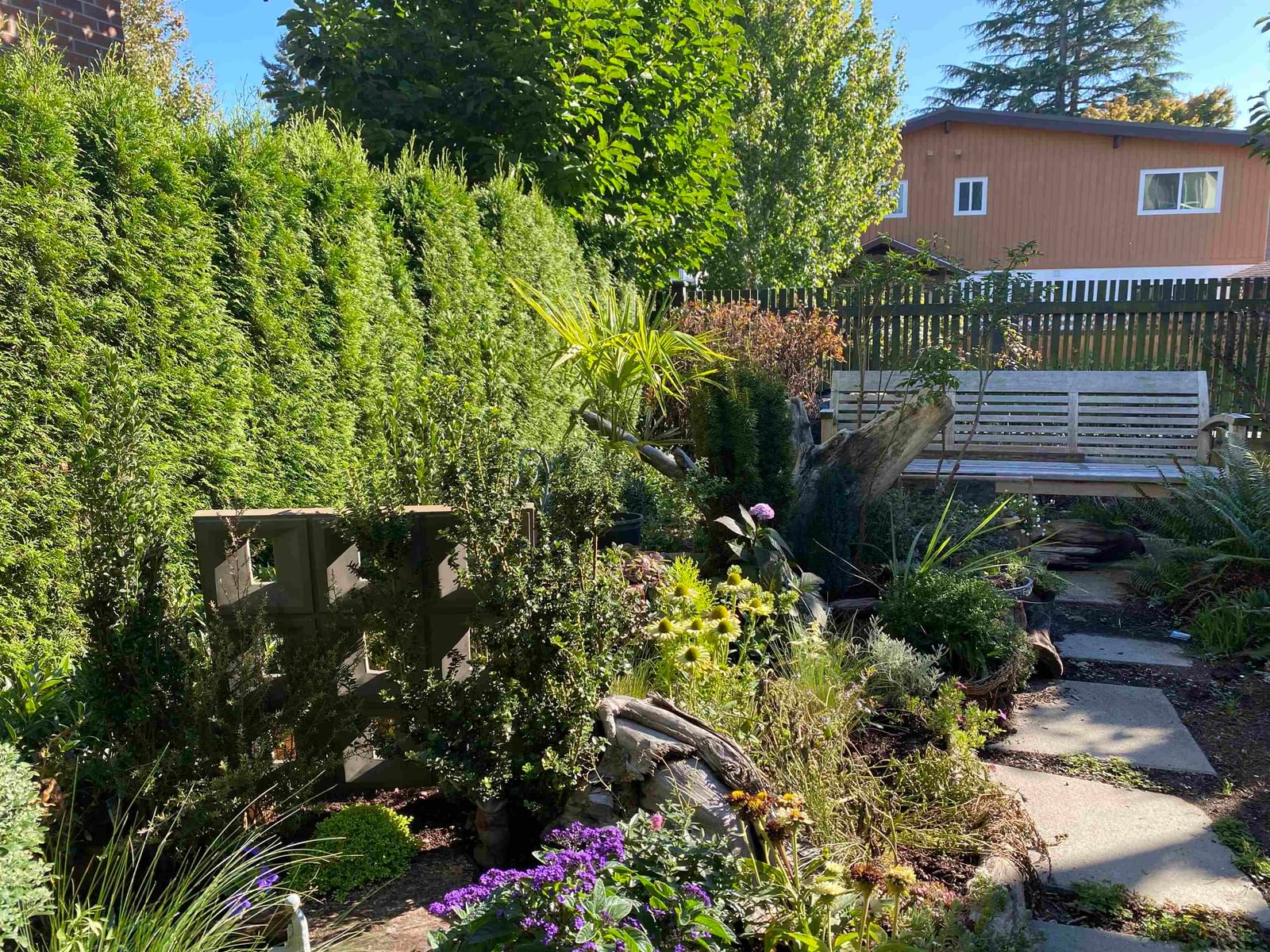 Listing Image 29