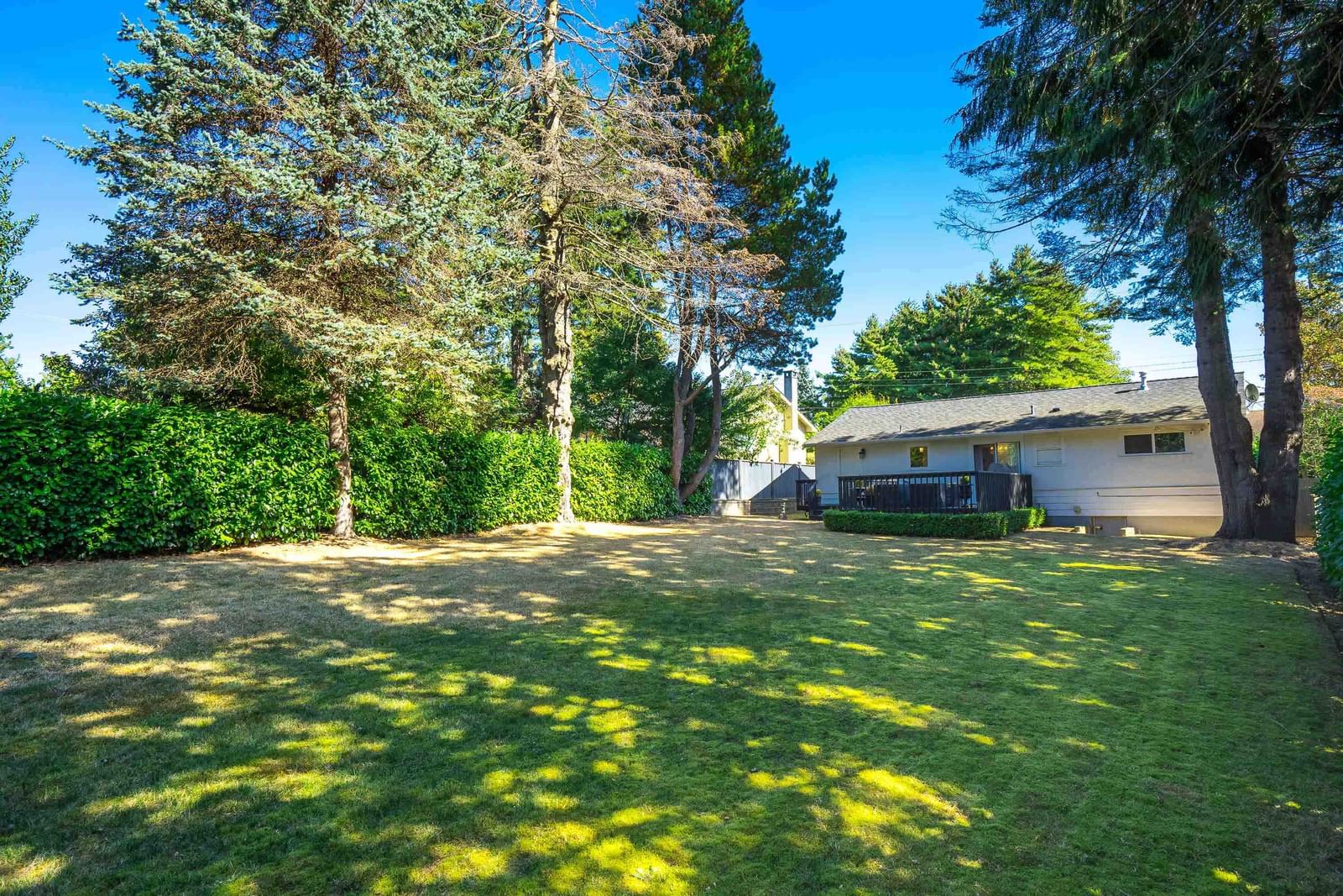 Listing Image 39