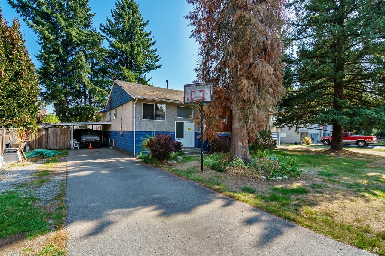 Listing Image 19