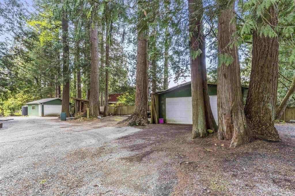 Listing Image 11