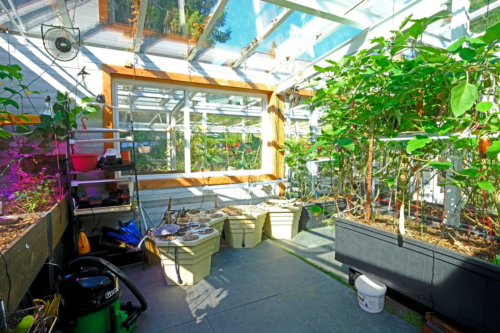 Listing Image 11