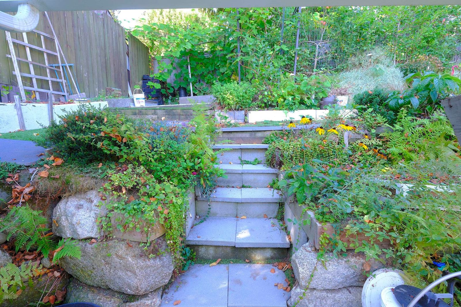 Listing Image 29