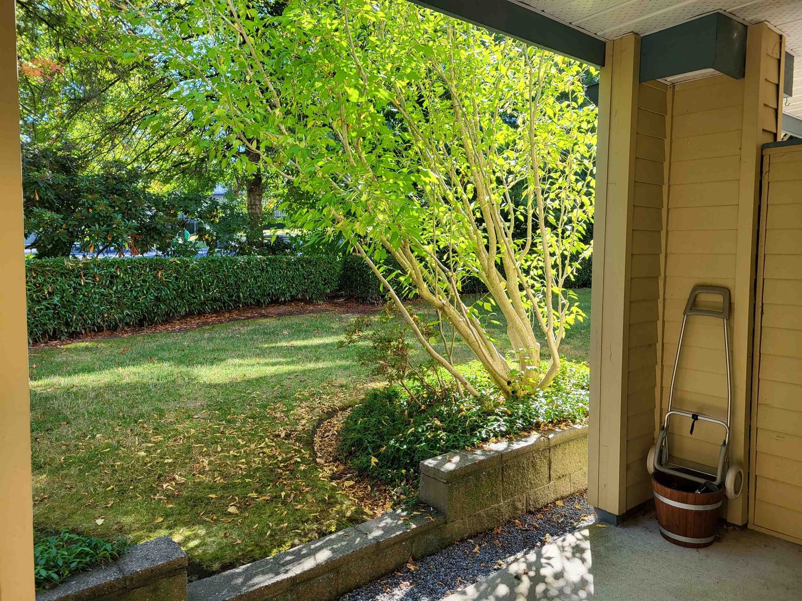 Listing Image 12