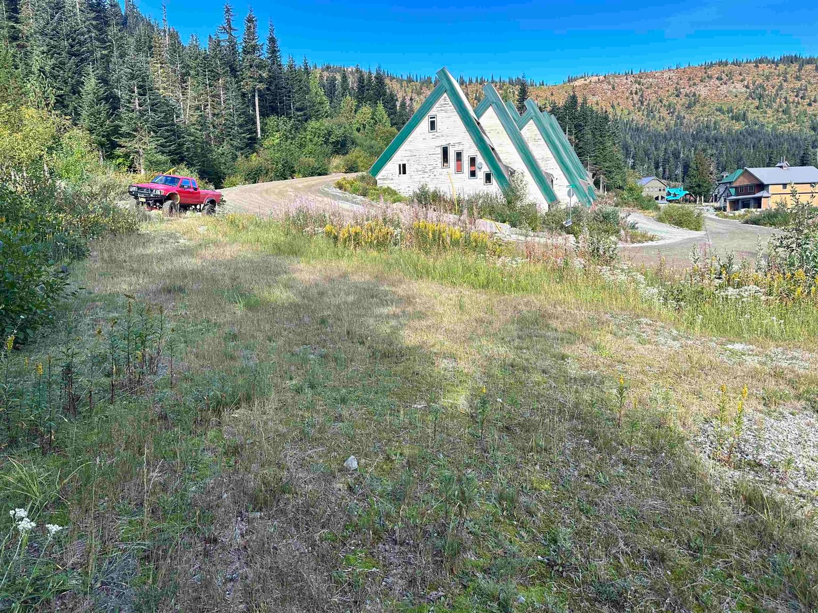 Listing Image 14