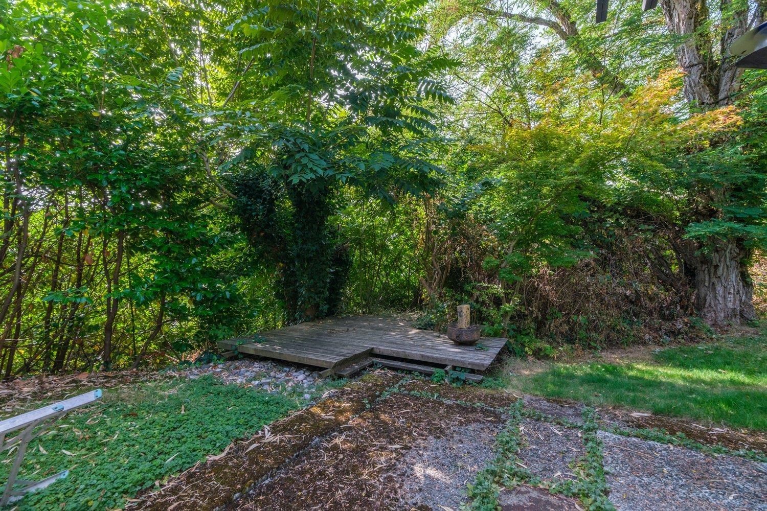 Listing Image 31