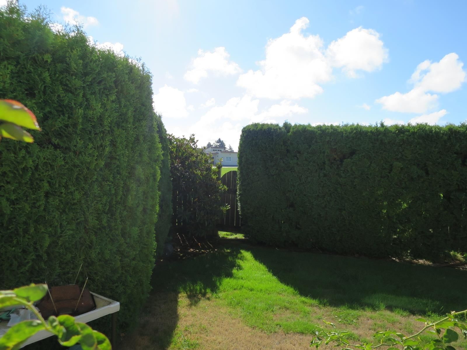 Listing Image 37