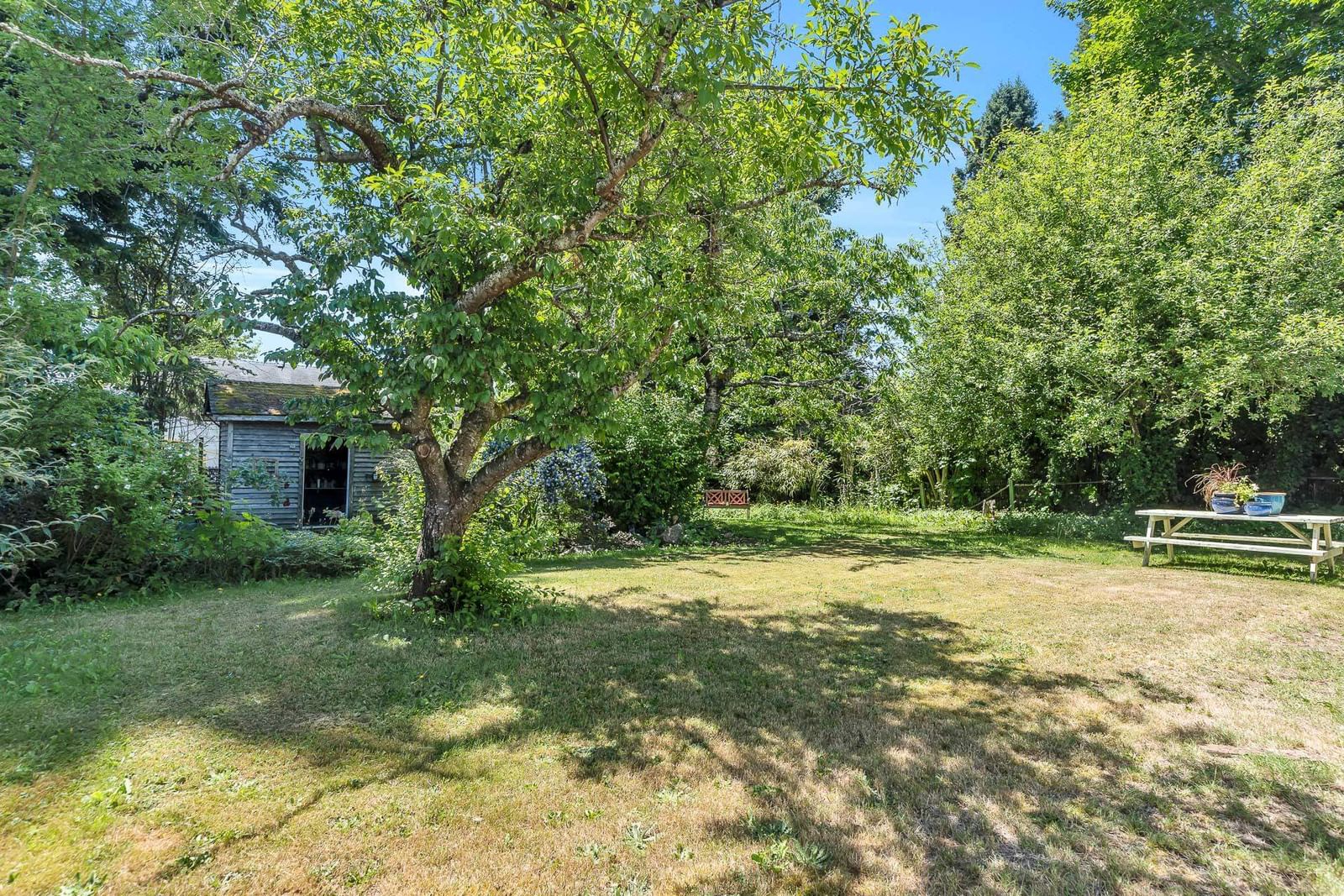 Listing Image 33