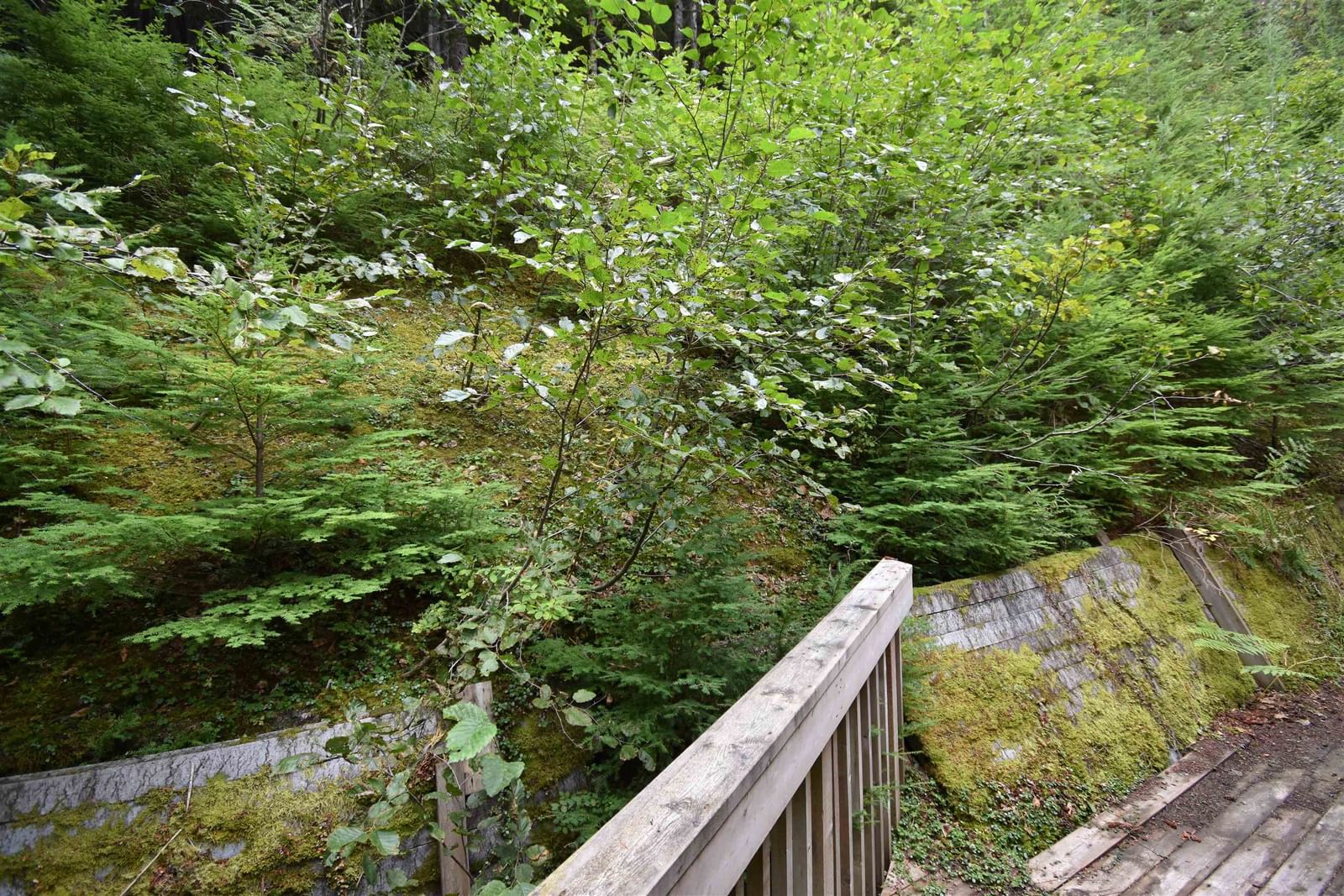 Listing Image 24