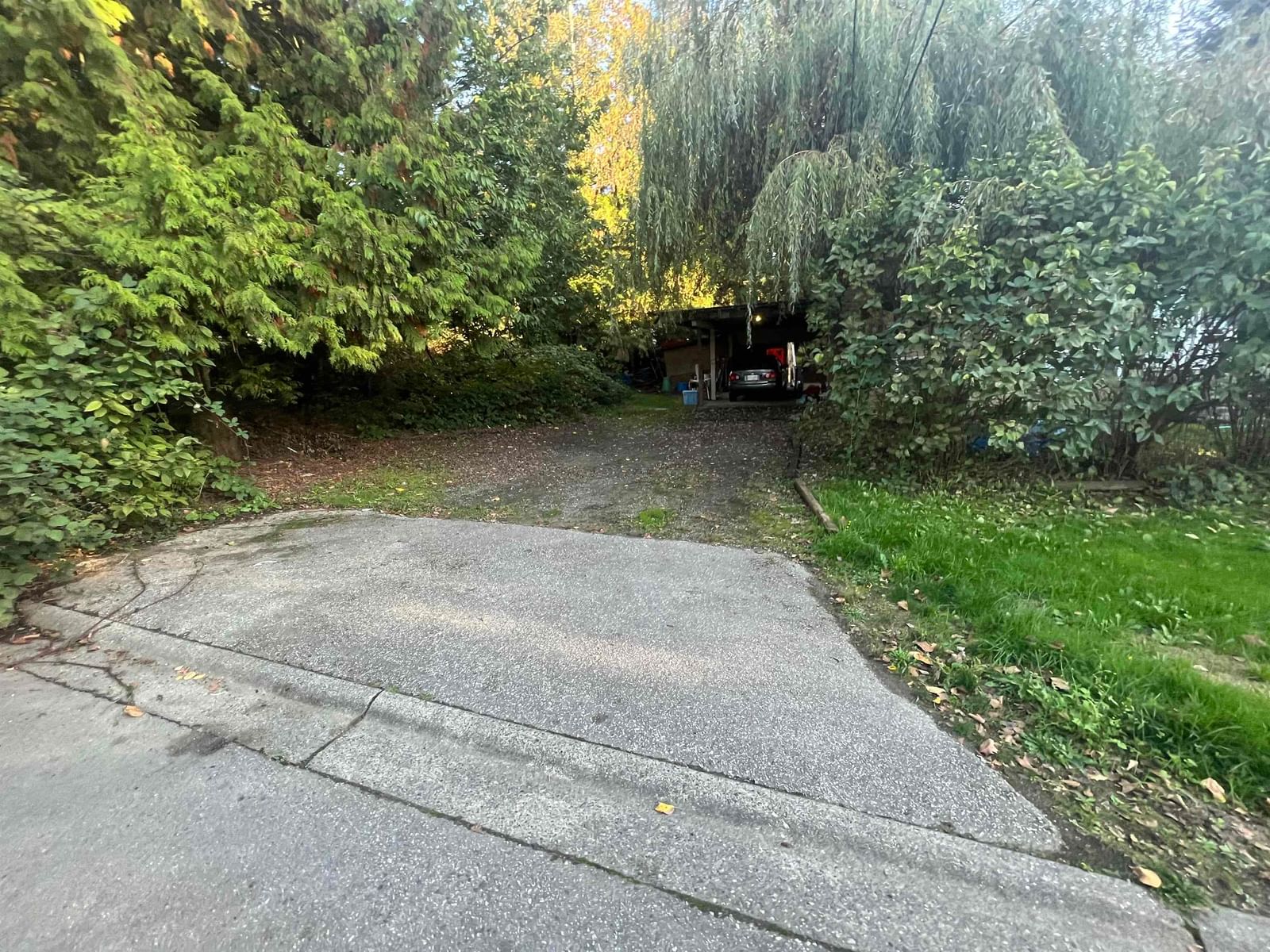 Listing Image 11