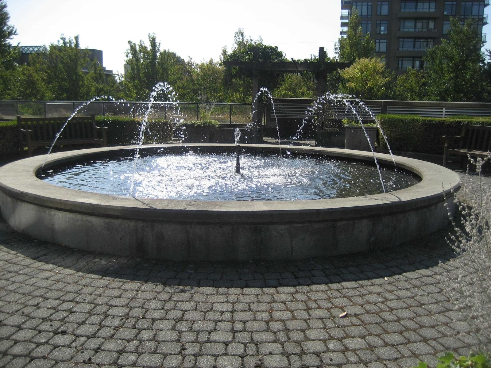 Listing Image 9