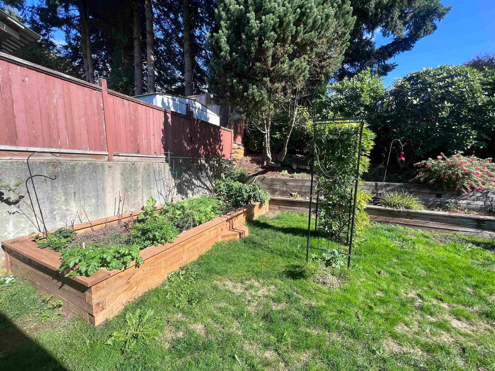 Listing Image 29