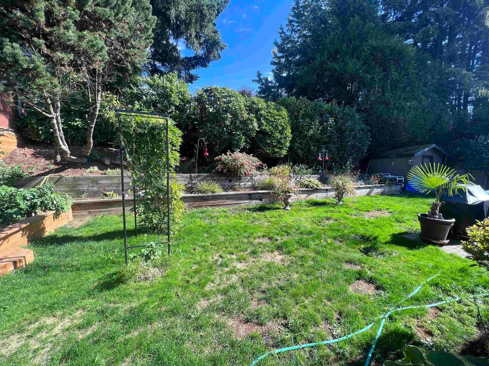 Listing Image 31