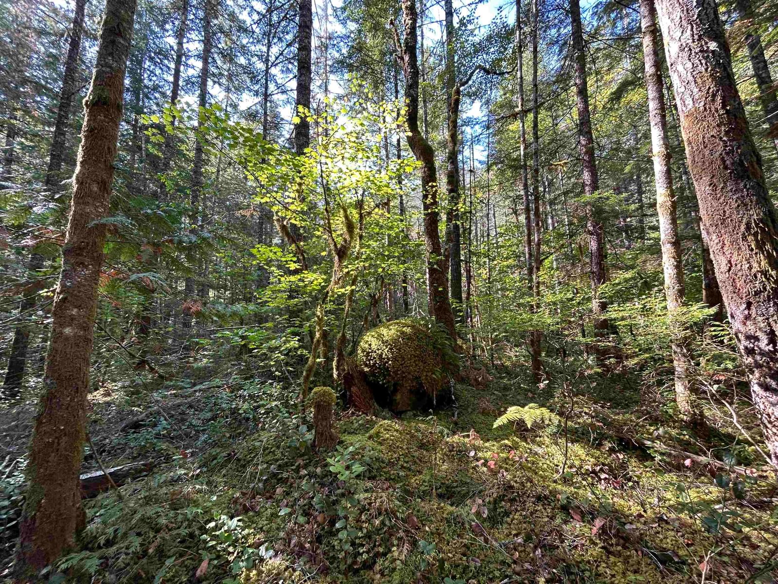 Listing Image 16