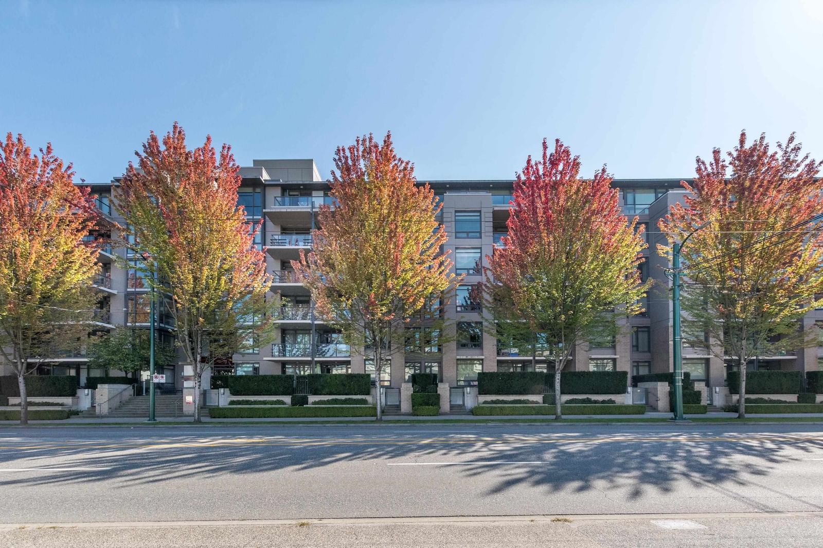 Listing Image 21