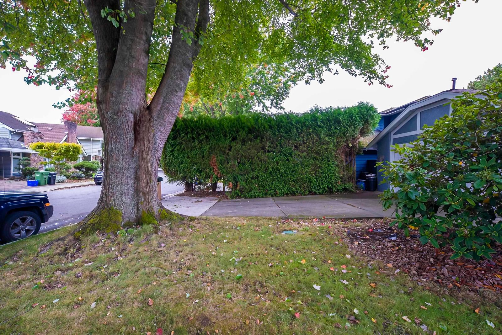 Listing Image 29