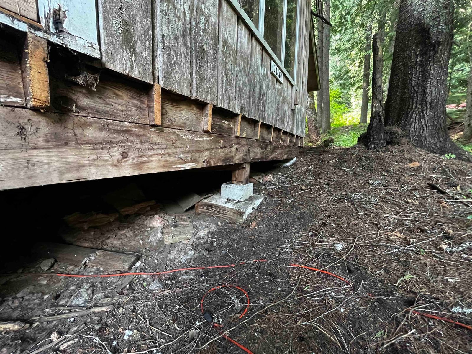Listing Image 6