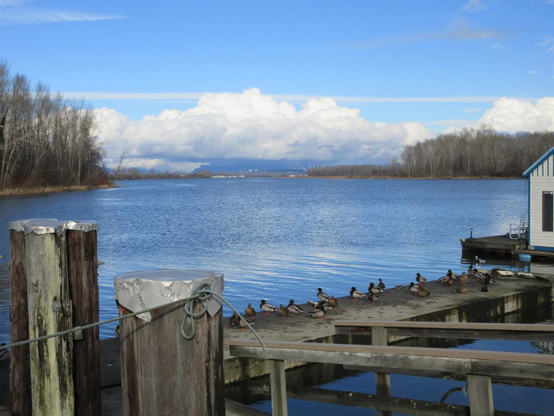 4515 River Road, Delta, V4K 1R9 | Image 2