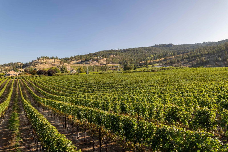 1116 Naramata Road, No City Value, V2A 8T6 | Image 3