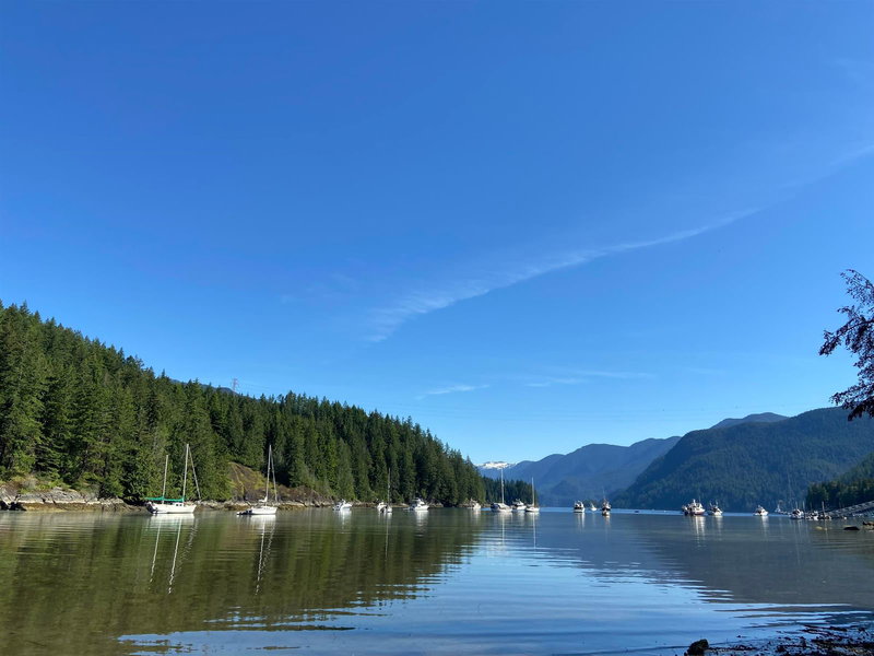 3626 Main Avenue, Belcarra, V3H 4P7 | Image 3