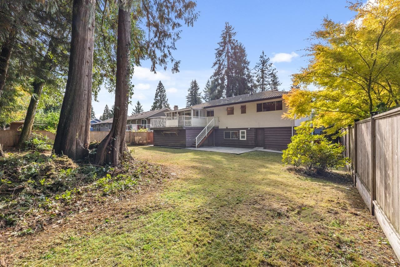 Listing Image 13