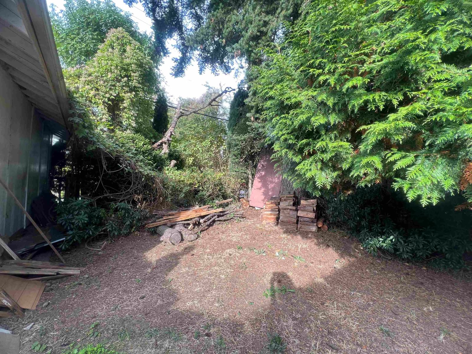 Listing Image 13