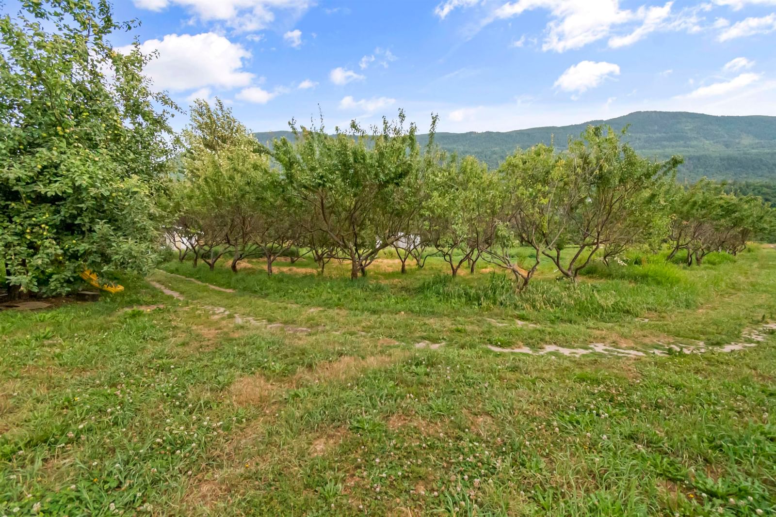 Listing Image 31