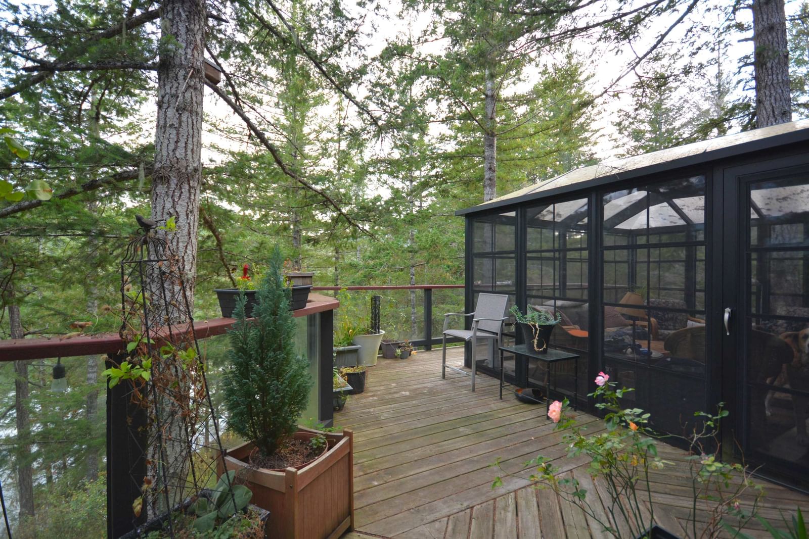 Listing Image 11