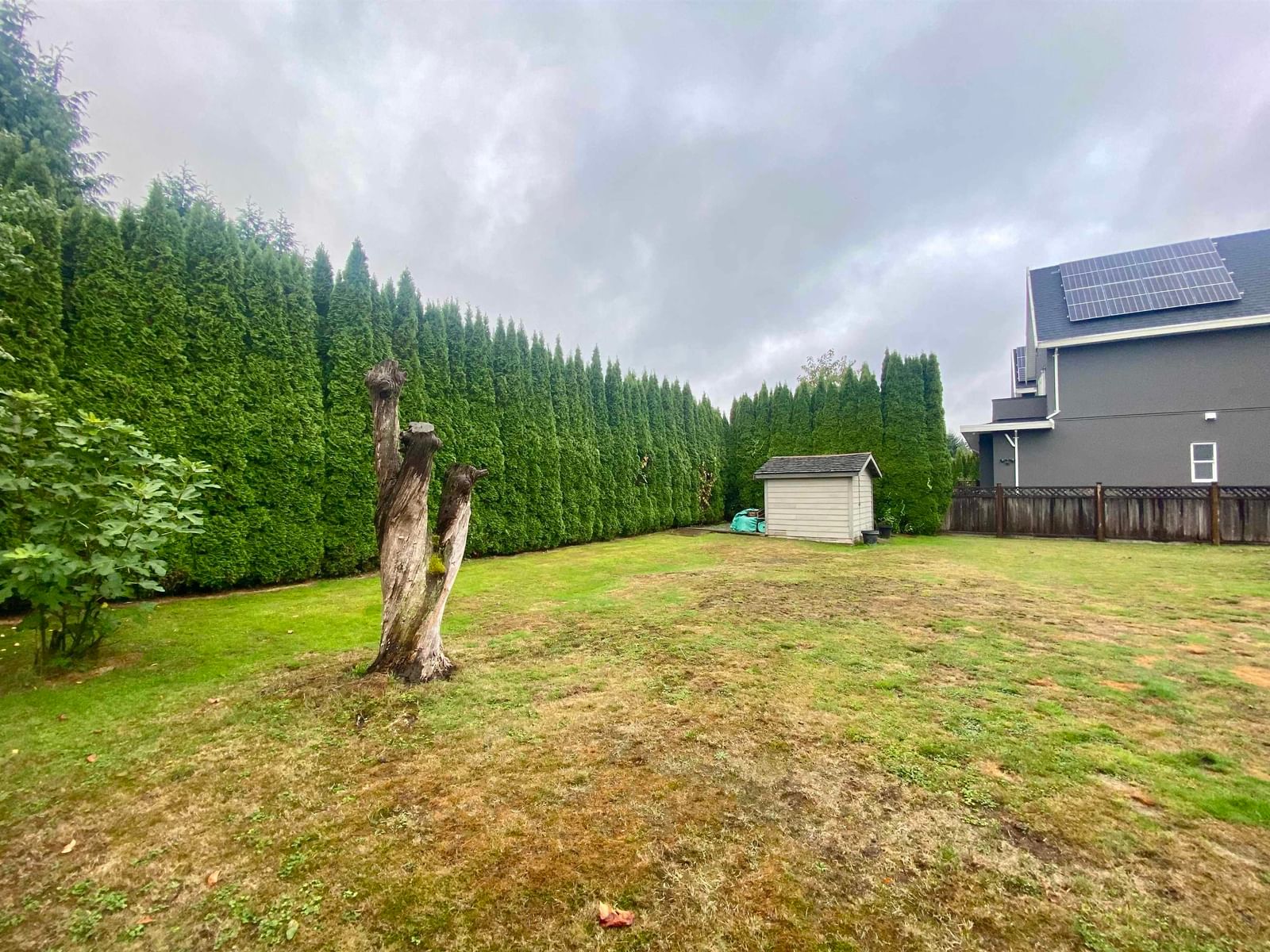 Listing Image 12