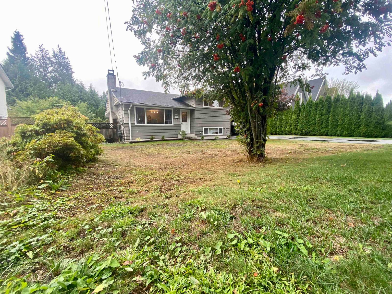 Listing Image 17
