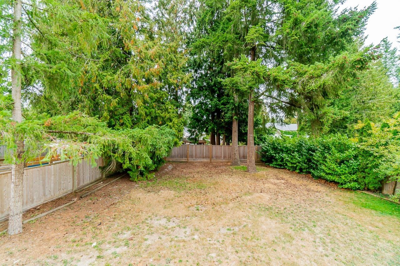 Listing Image 25