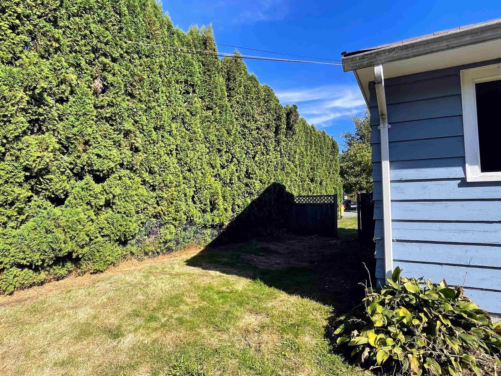 Listing Image 24