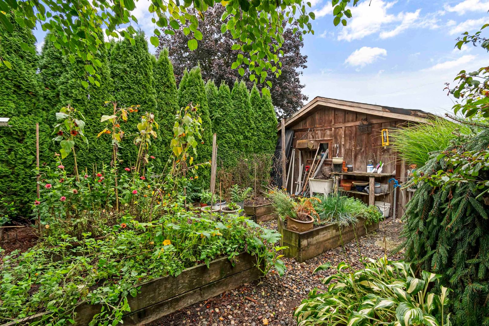 Listing Image 37